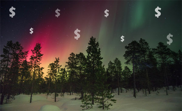 aurora lights trees