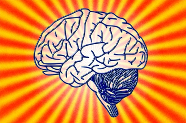 crazy brain