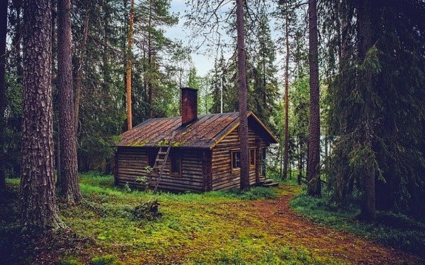 cute cabin in the woods