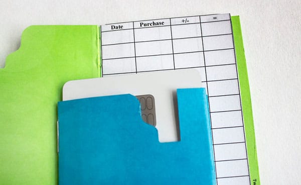 debit card sleeves& ledger inside