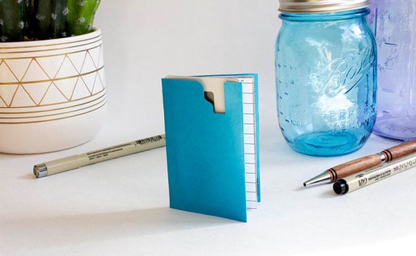 debit card sleeves & ledger