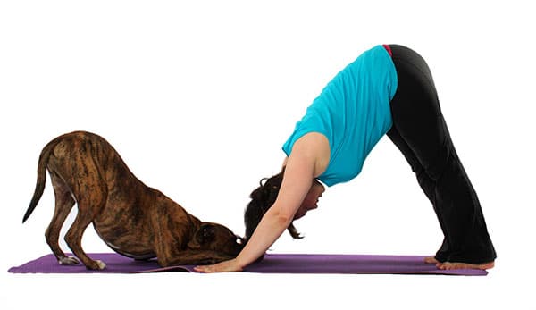 doga - dog yoga