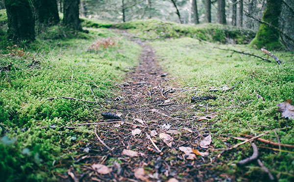 epiphany path