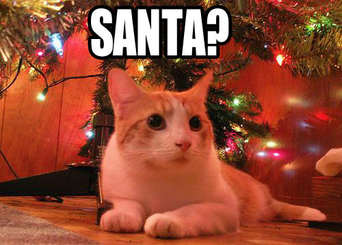 funny santa lol cat