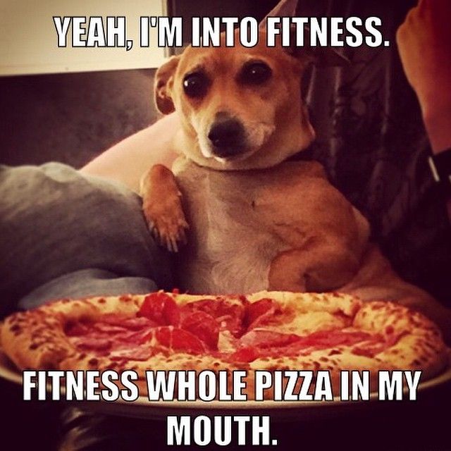 into fitness gif