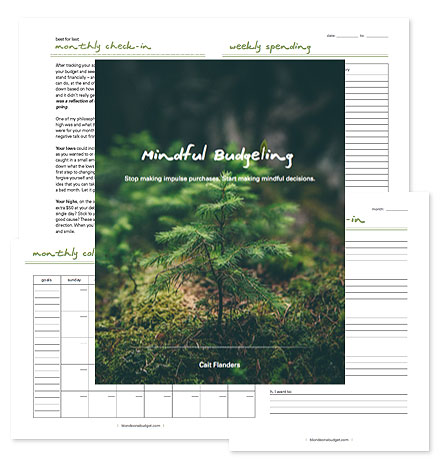 mindful budgeting program