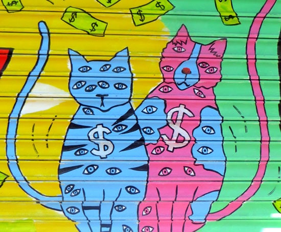 money cats eyes
