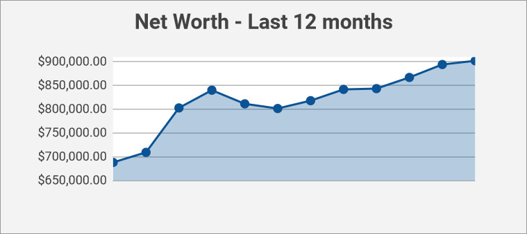 net worth - 12 months