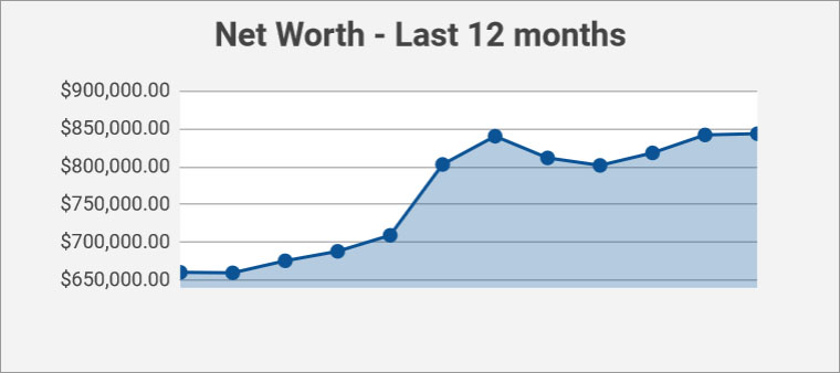 net worth - past 12 months