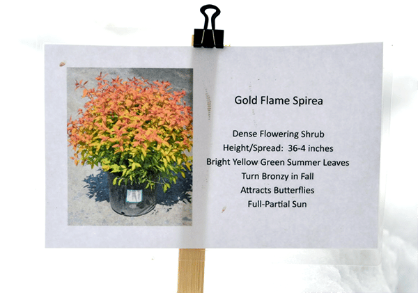 plant species tag