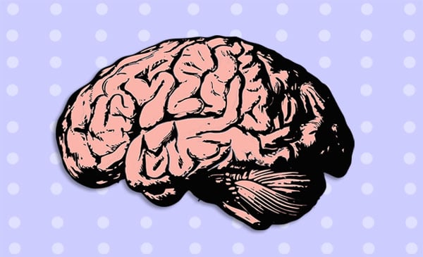 polka dot brain