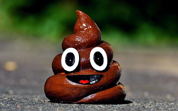 poop emoji