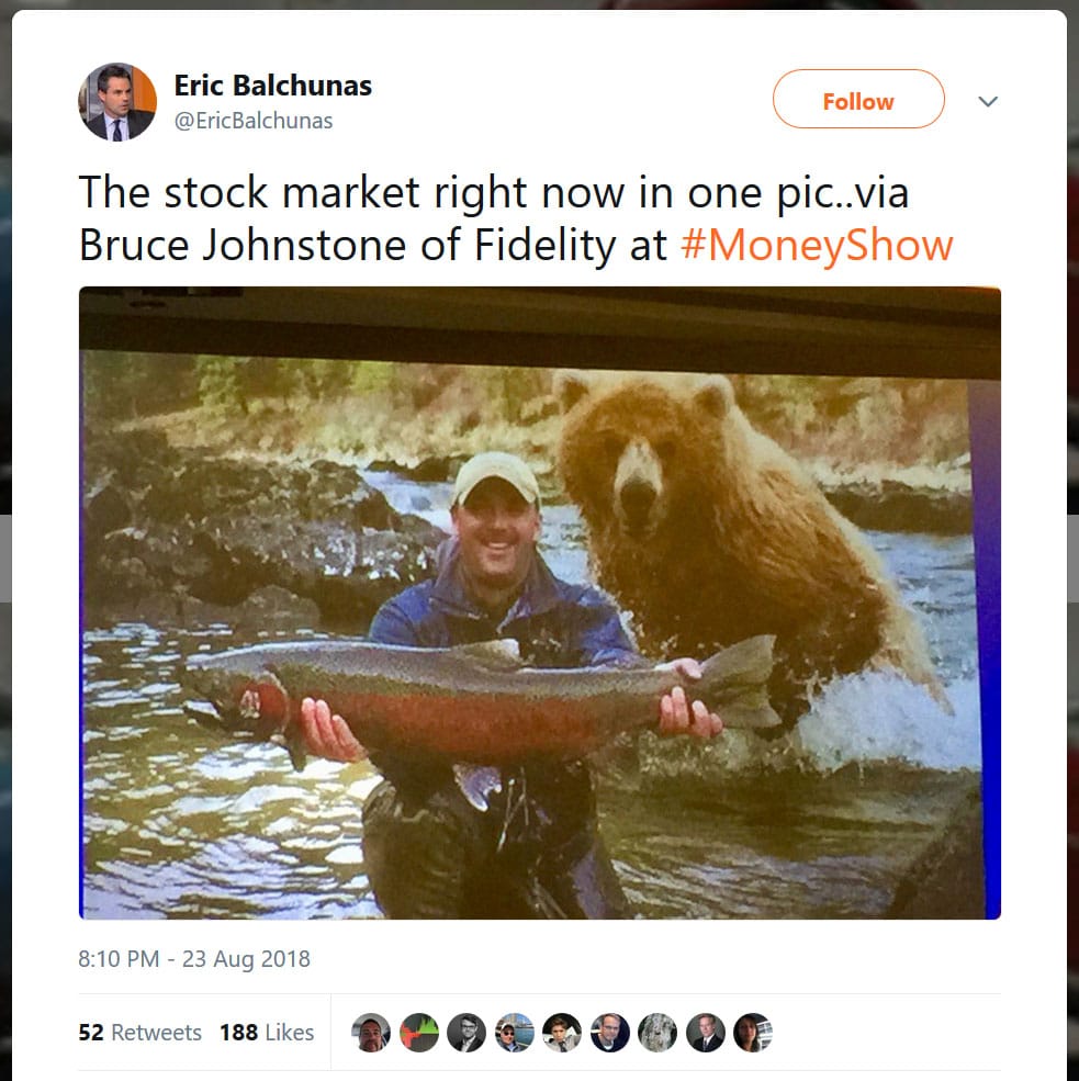 stock market bear