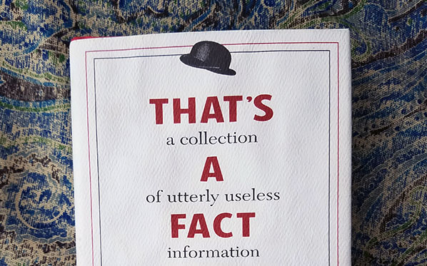 thats a fact jack