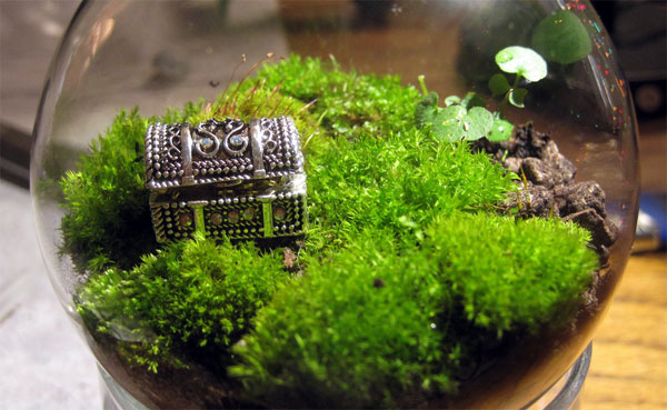 tiny treasure chest