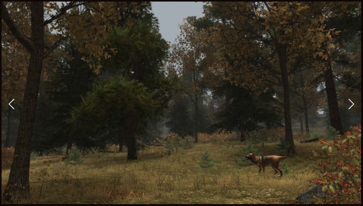 walden game - forest
