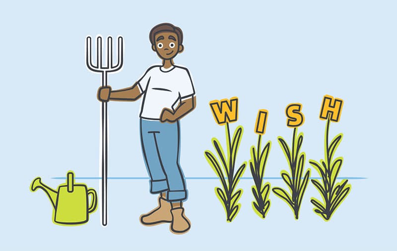 wish farm budgeting